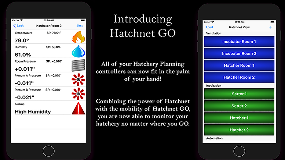 Hatchnet GO